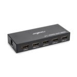 HDMI